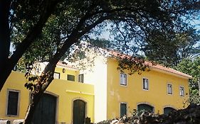 The Five House